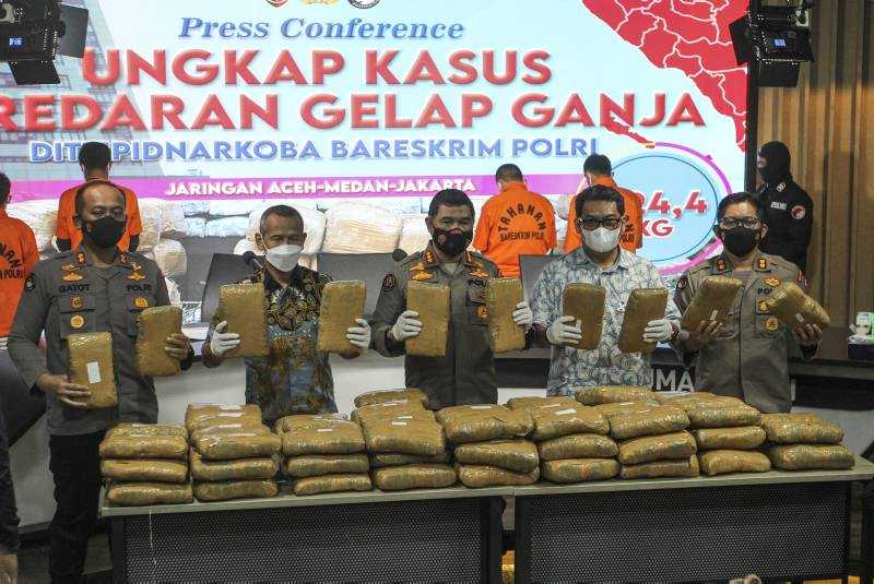 Ungkap Peredaran Ganja