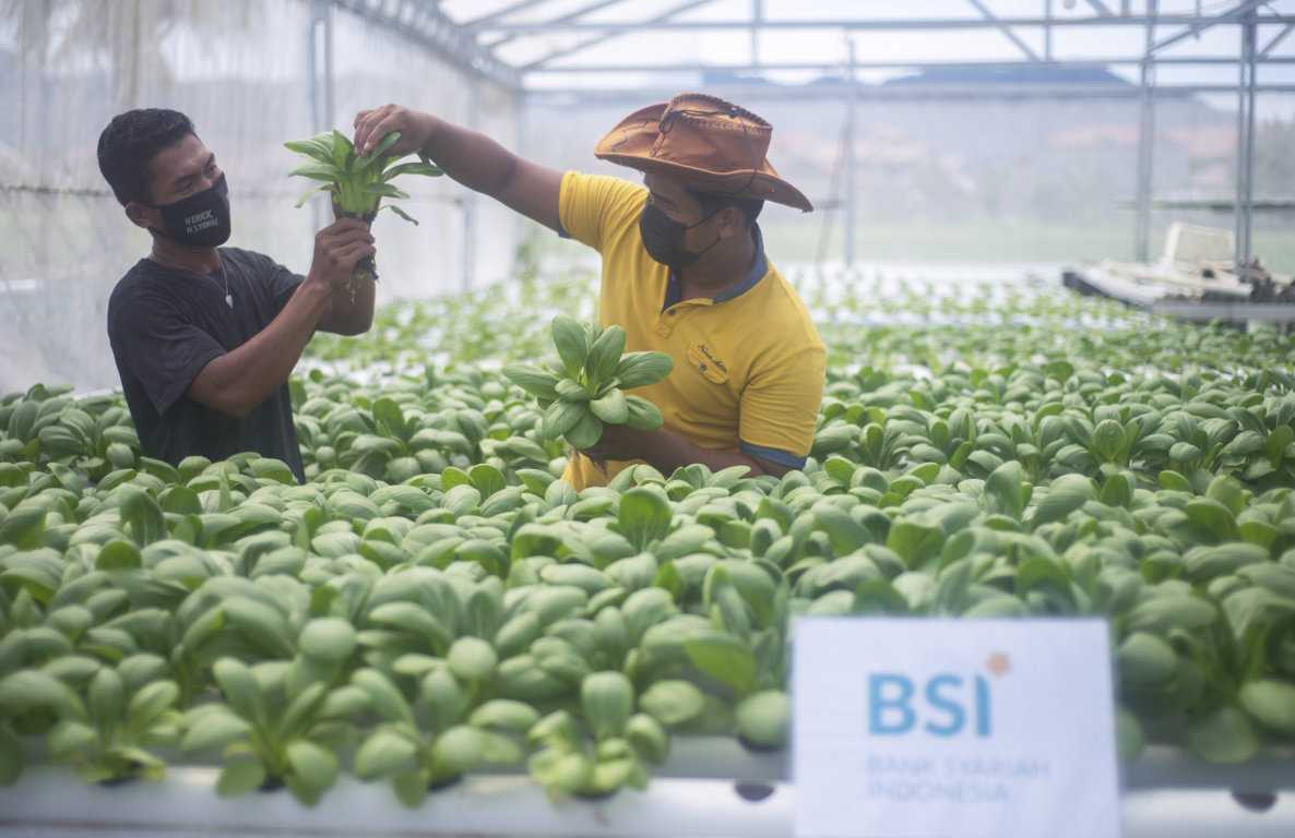 “Urban Farming"