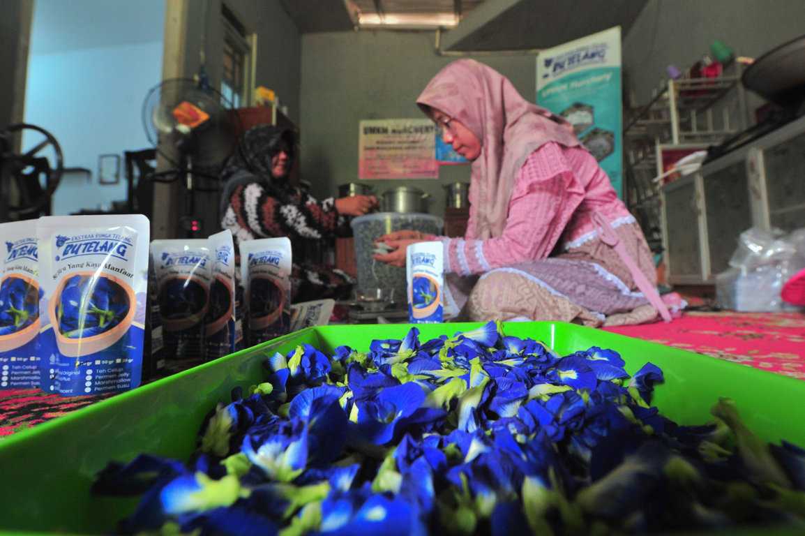 Usaha Rumahan