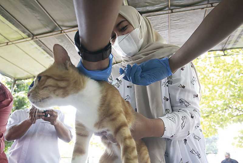 Vaksin Antirabies