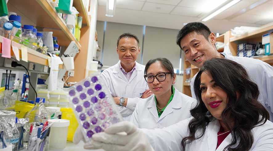 Virus Zika Dapat Menghancurkan Sel Kanker Otak