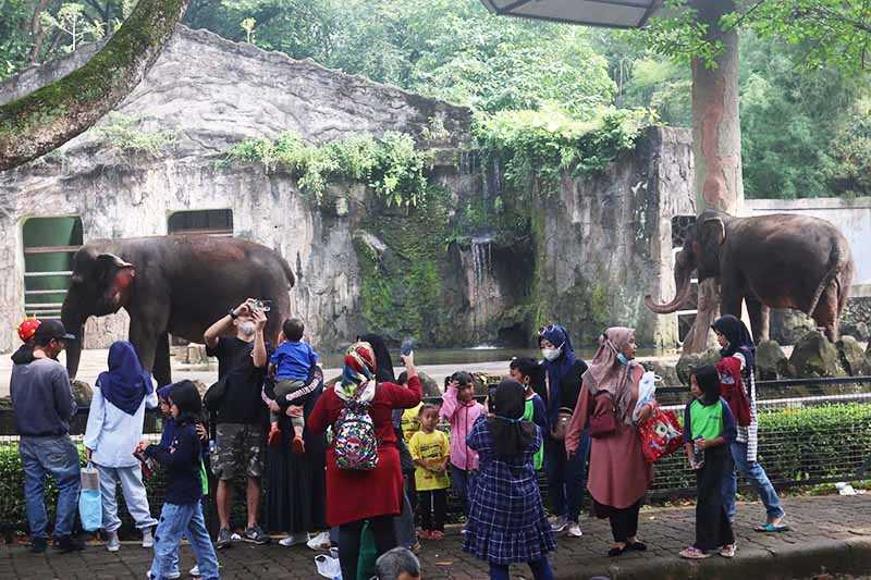 Wisata di Kebun Binatang Ragunan