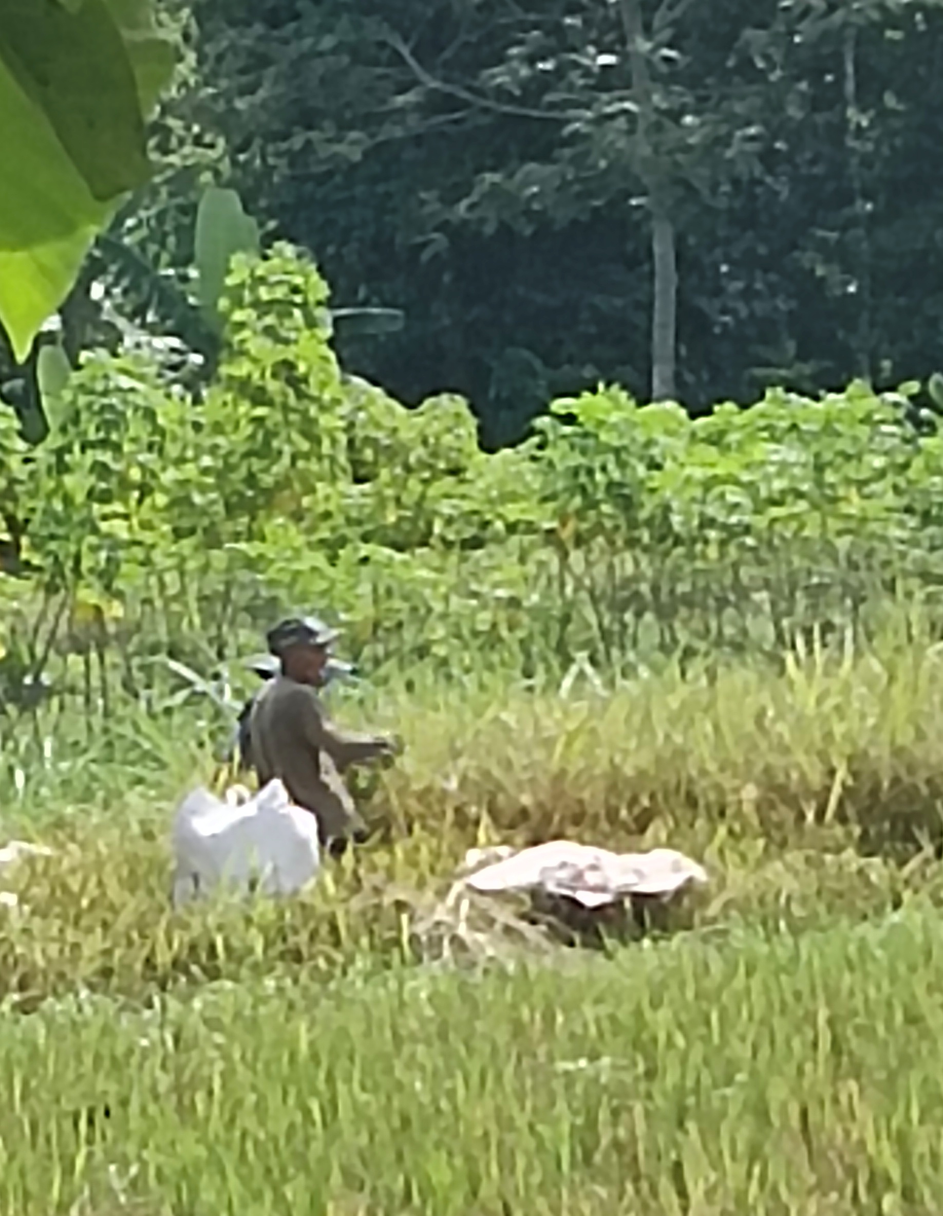 20250423193609_panen.jpg
