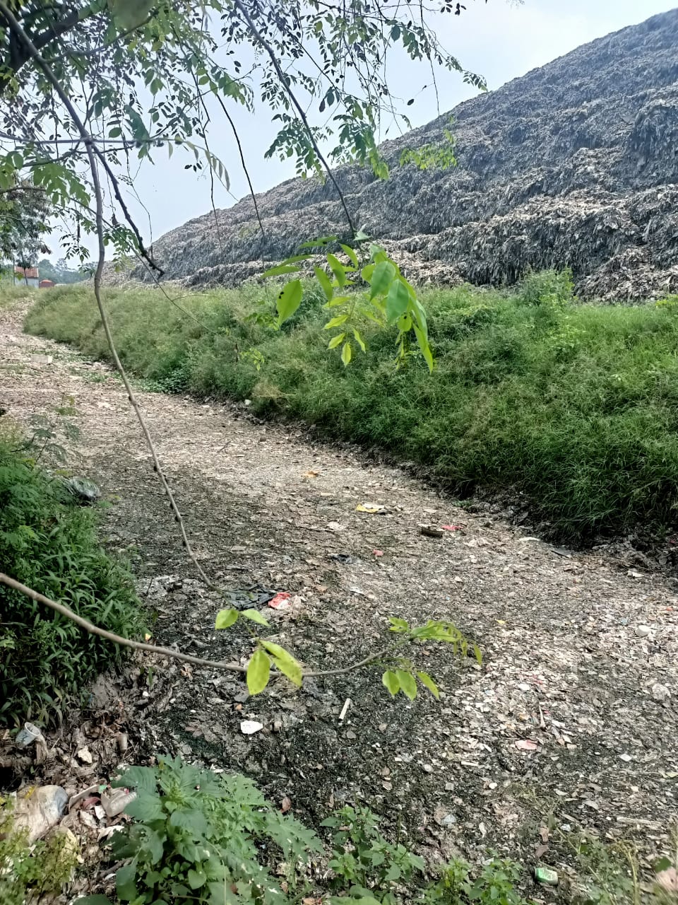 20250611160337_sampah-3.jpeg