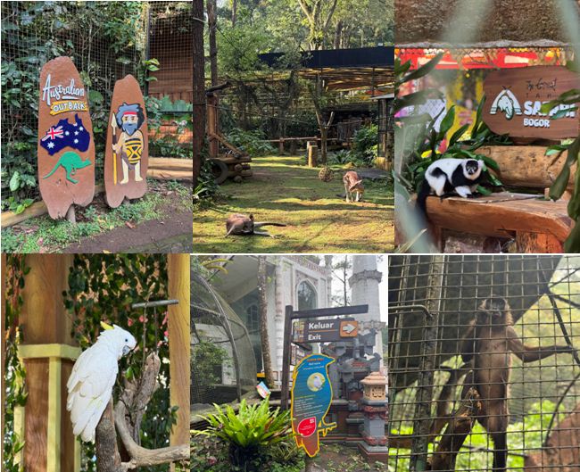 20250620154944_baby-zoo.JPG