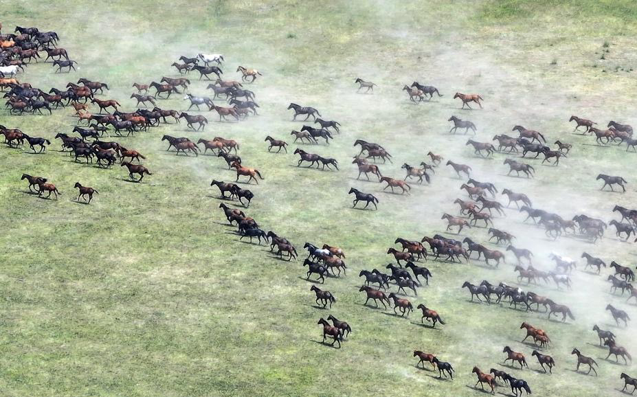 20250720213303_mongol3.jpg
