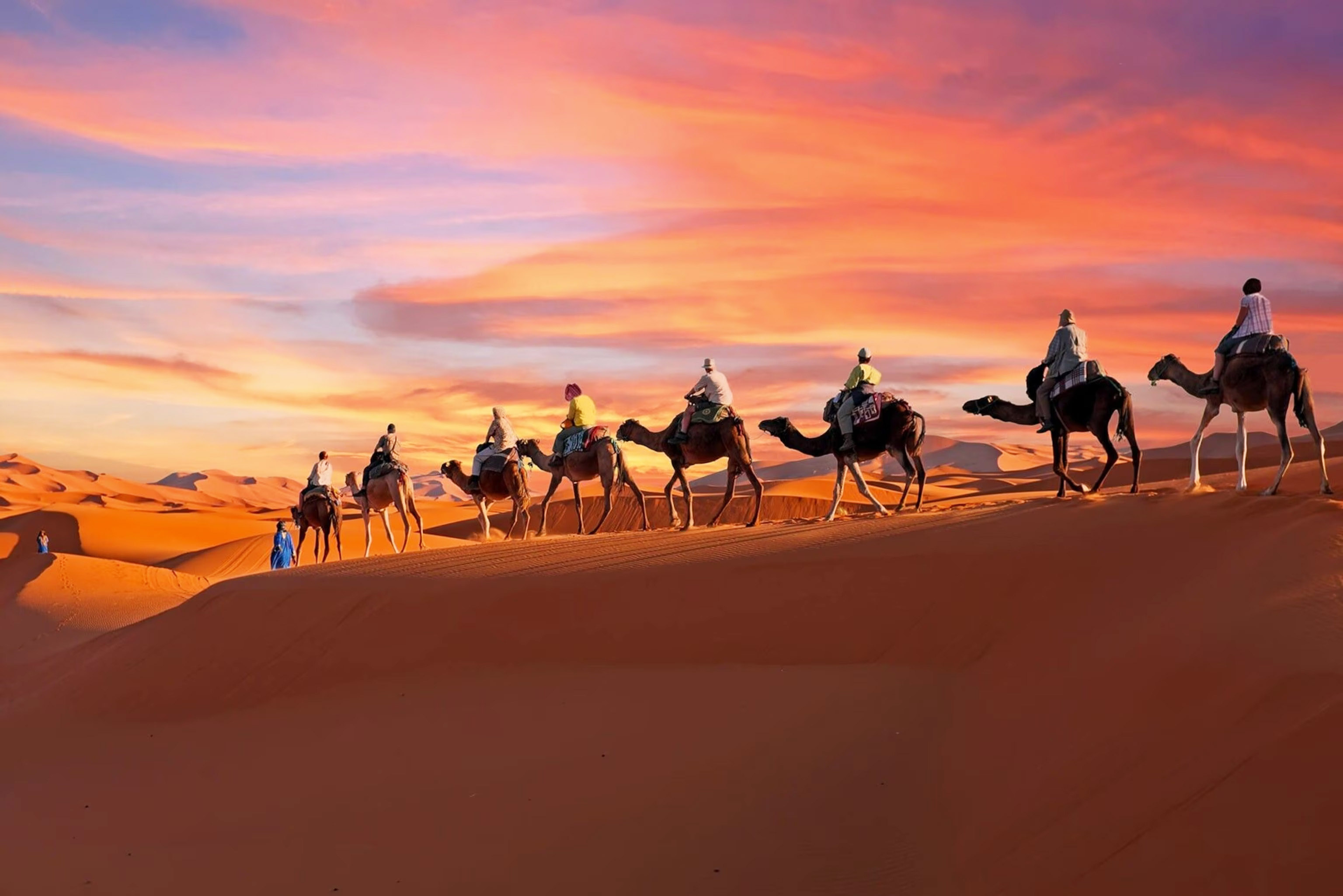 20250812160332_Sahara.jpeg
