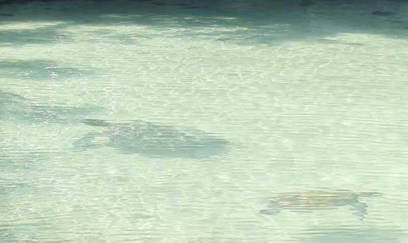 20250812172006_1000070444.jpeg