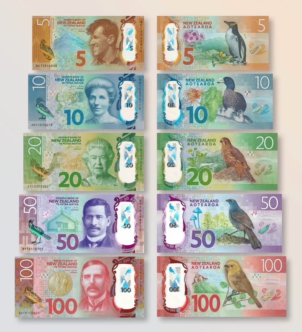 20250820160409_NZ.jpg