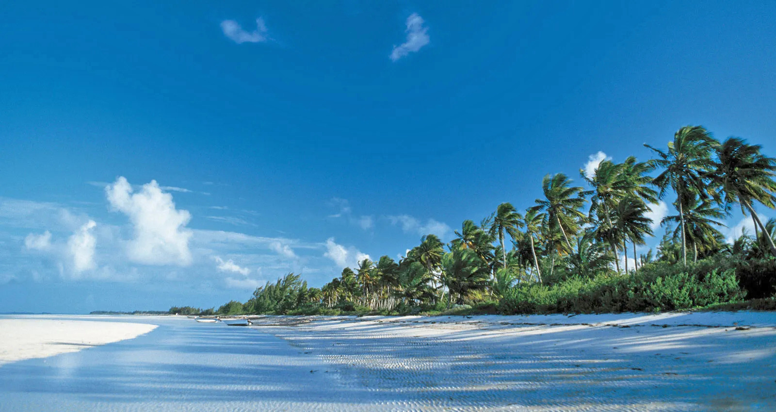 20250825210700_bahamas3.jpg