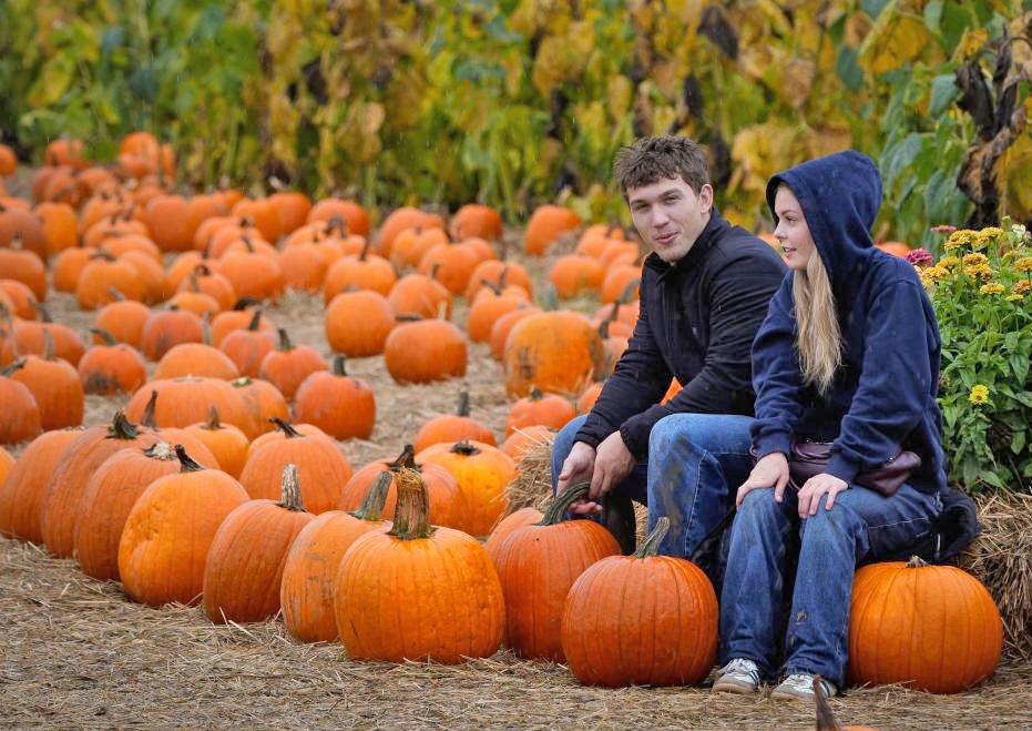 20251013154401_pumpkin1.jpg