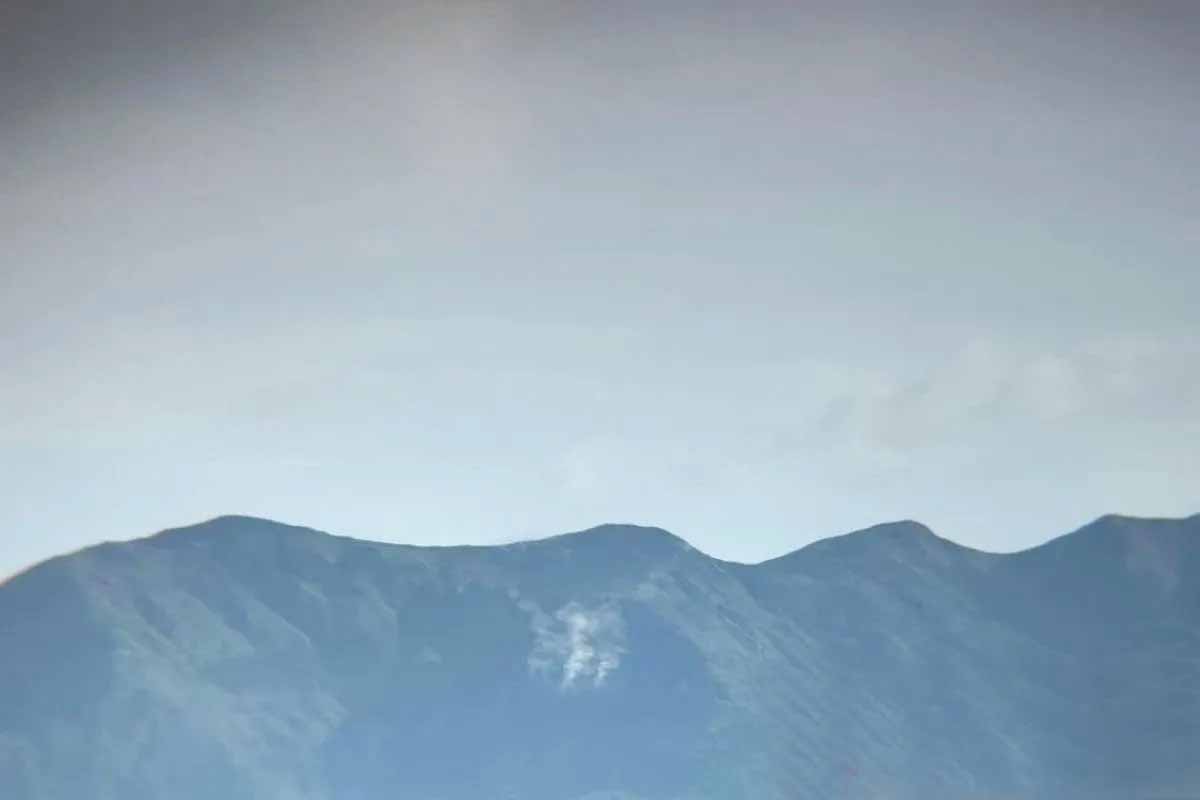 20251123204451_2.jpg