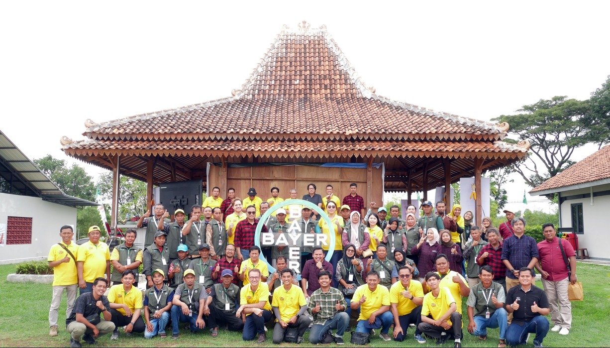 Foto 5