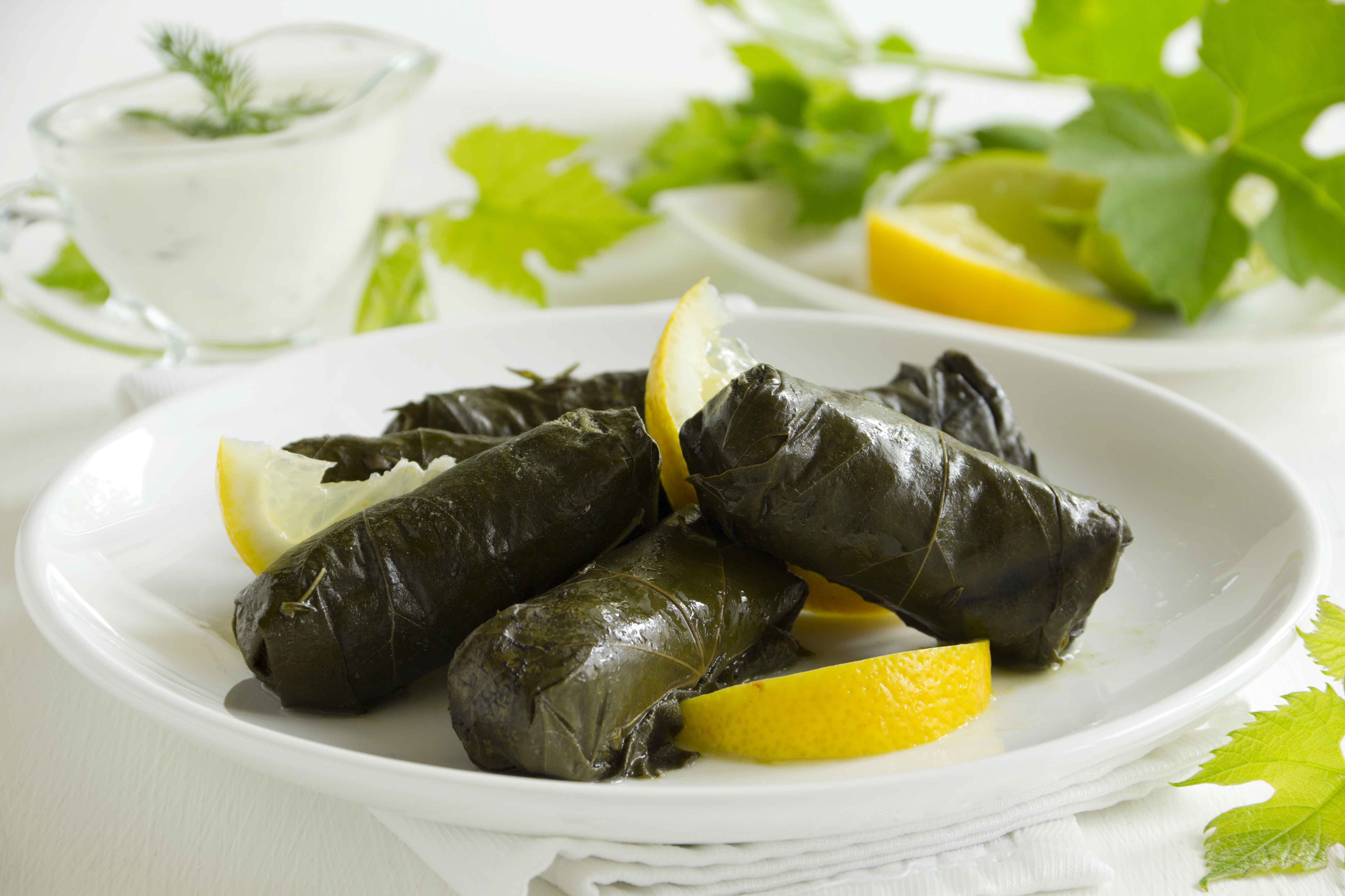 20260222231651_dolma.jpg