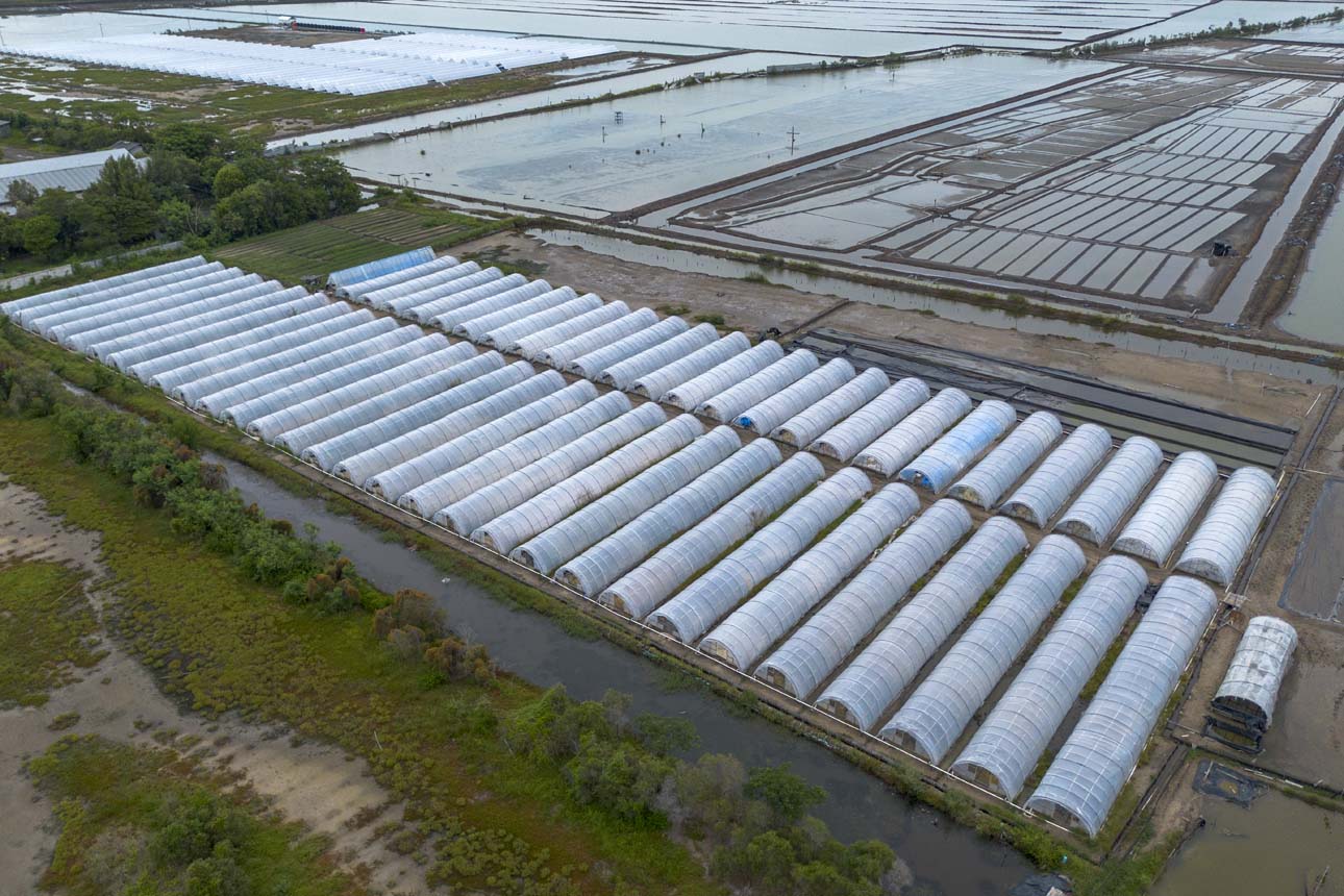 Rencana Penghentian Impor Garam Industri