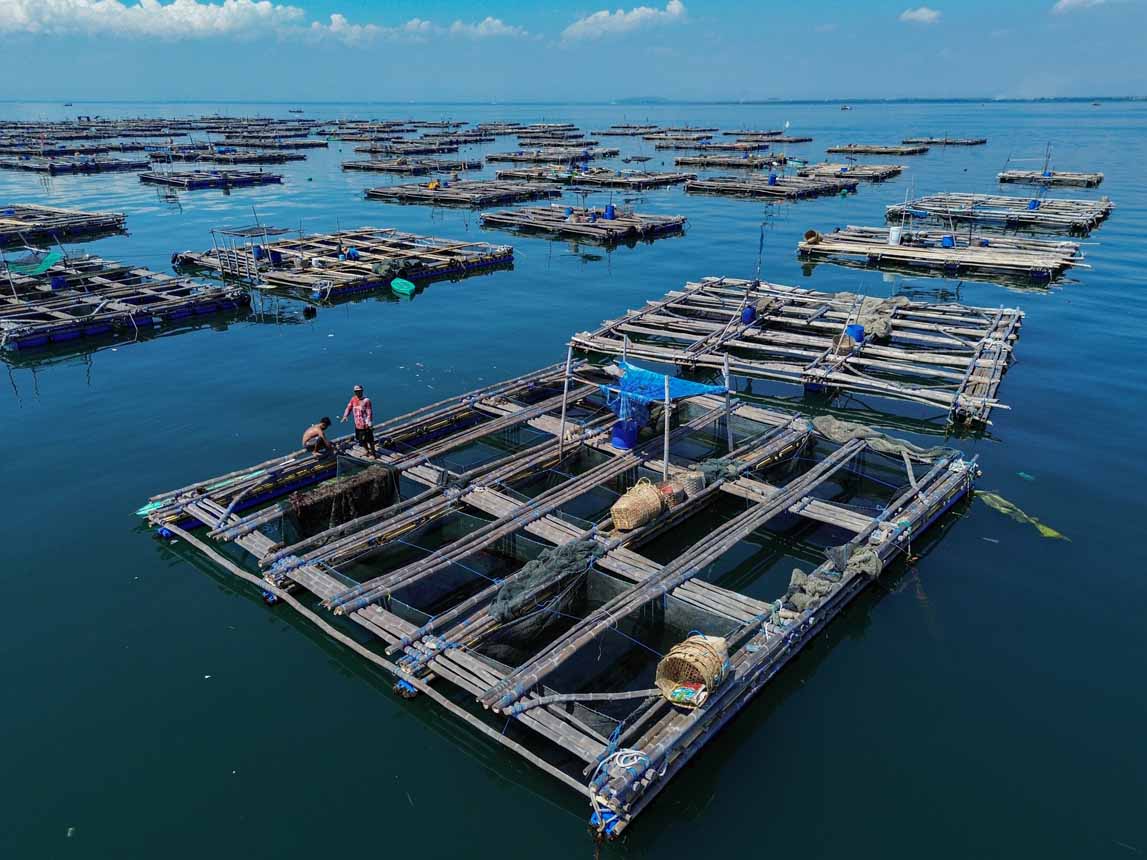 Hilirisasi Produk Laut untuk Daya Saing Global