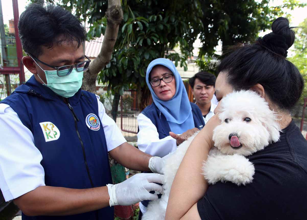 Vaksin Rabies untuk Hewan Peliharaan