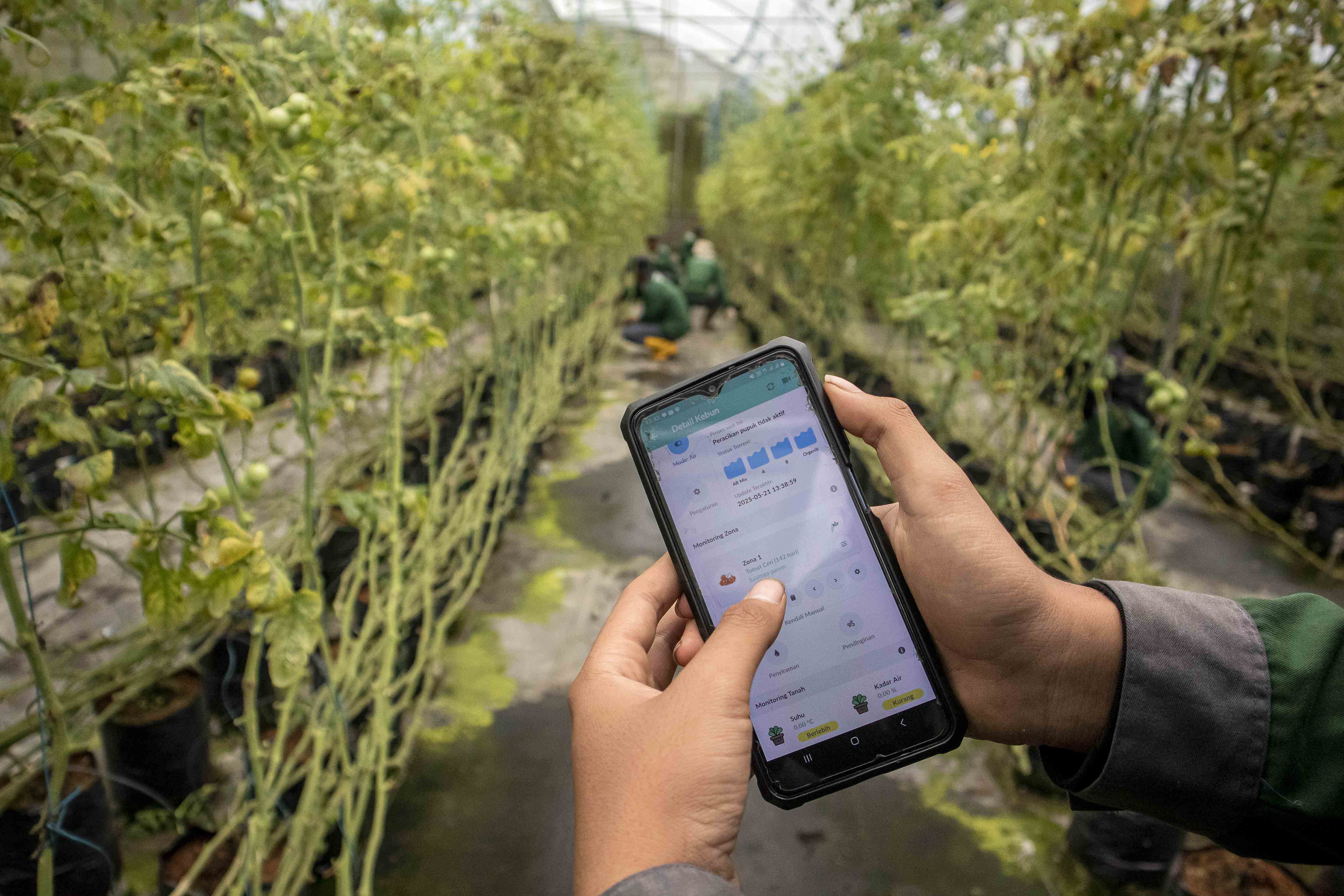 Penerapan digitalisasi pertanian dengan IoT di SMK