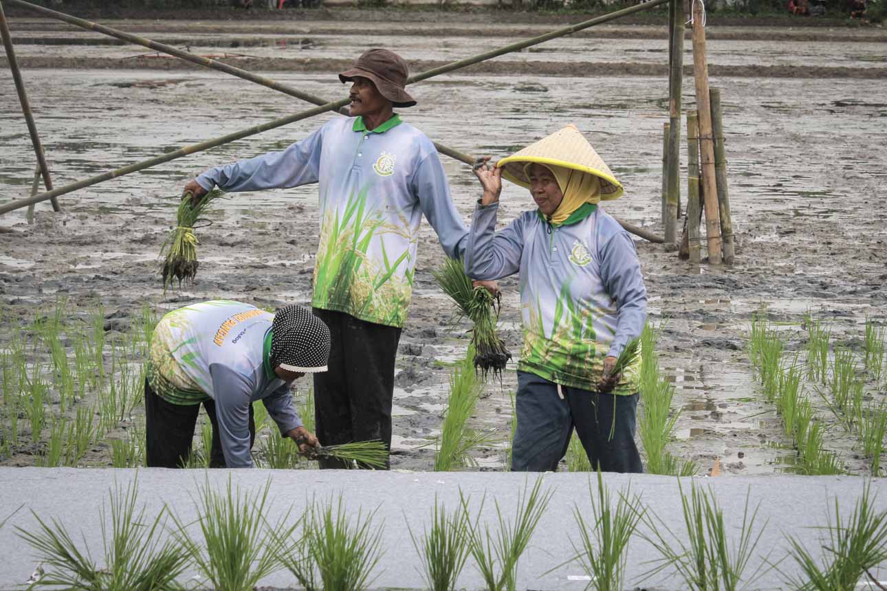 Program Peningkatan Ketahanan Pangan di Kabupaten Bekasi