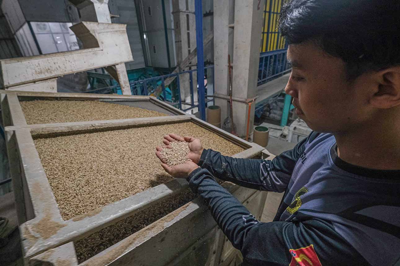 Penambahan Dana untuk Stok Beras di Sulawesi Tenggara