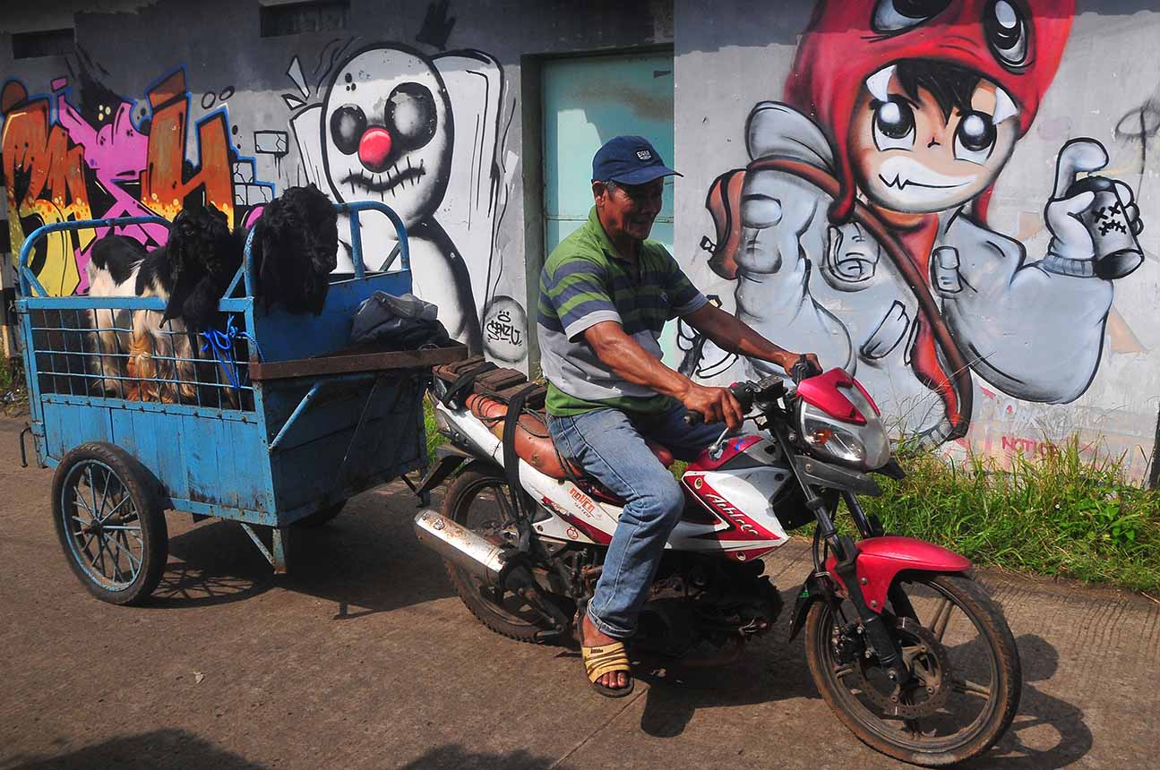 Jasa Ojek Kambing Tawarkan Layanan Angkut Hewan Jelang Idul Adha