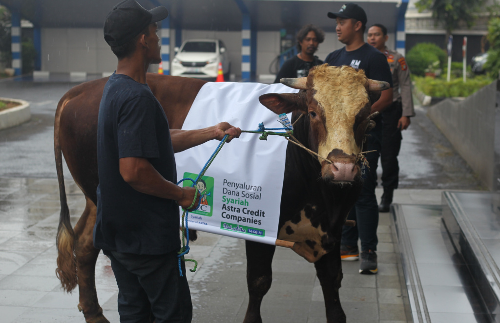 Rayakan Idul Adha 1446H, ACC Bagikan Hewan Kurban