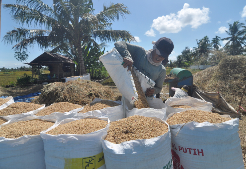 Realisasi serapan beras petani