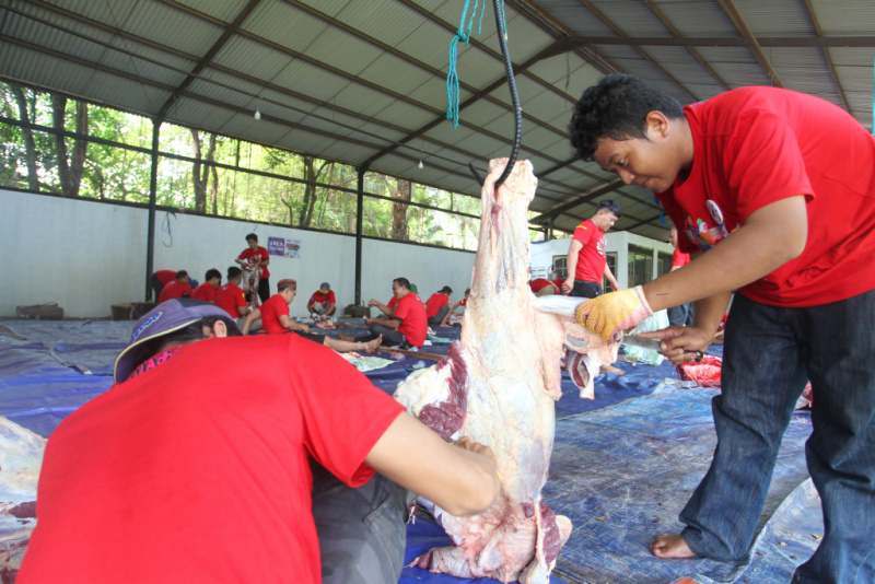 Kolaborasi Tebar Manfaat Idul Adha Bagi Karyawan dan  Masyarakat Sekitar