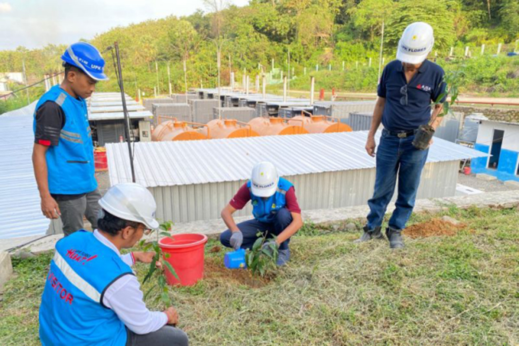 Aksi Tanam Pohon Dukung Penghijauan di lingkungan PLTD Golo Bilas-NTT