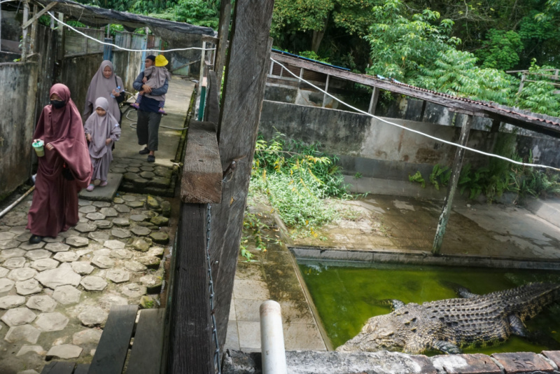 Wisata penangkaran buaya di Balikpapan