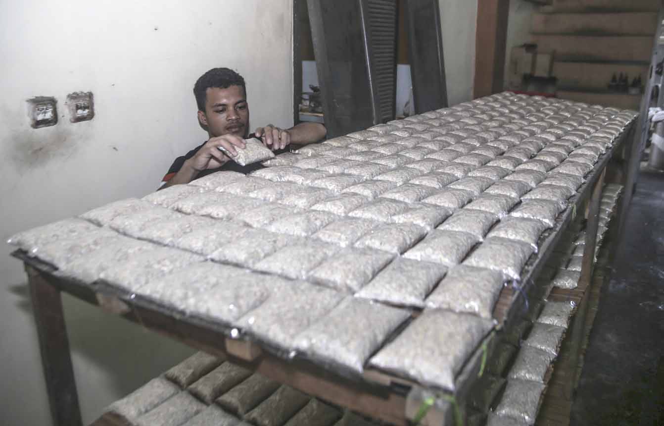 Harga Kedelai Melonjak di Ternate