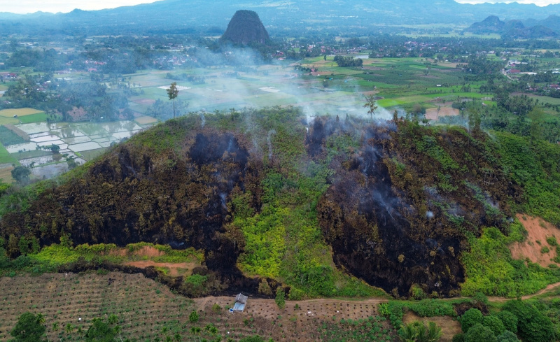 Kebakaran hutan dan lahan di Limapuluhkota