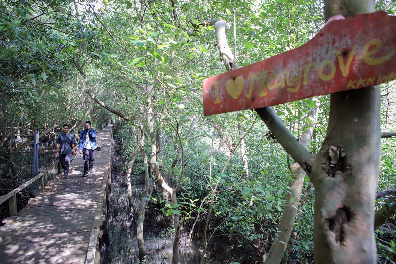 Ekowisata Banyuurip Mangrove Center di Gresik
