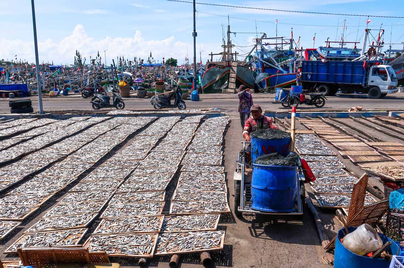 Krisis Bahan Baku Bayangi Industri Ikan Asin