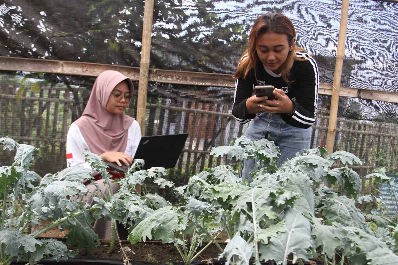 Penggunaan Teknologi IoT dalam Pertanian