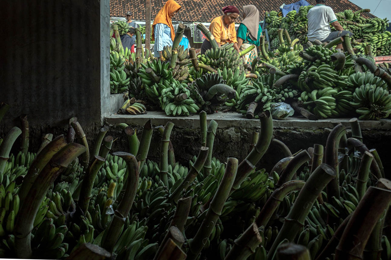 Pasar Pisang dan Tembakau Penanggalan Jawa