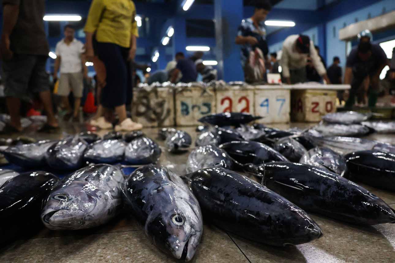Peningkatan Kualitas dan Daya Saing Produk Perikanan