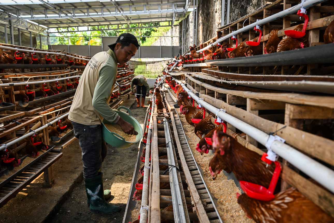 Lumbung Pangan di Nusakambangan