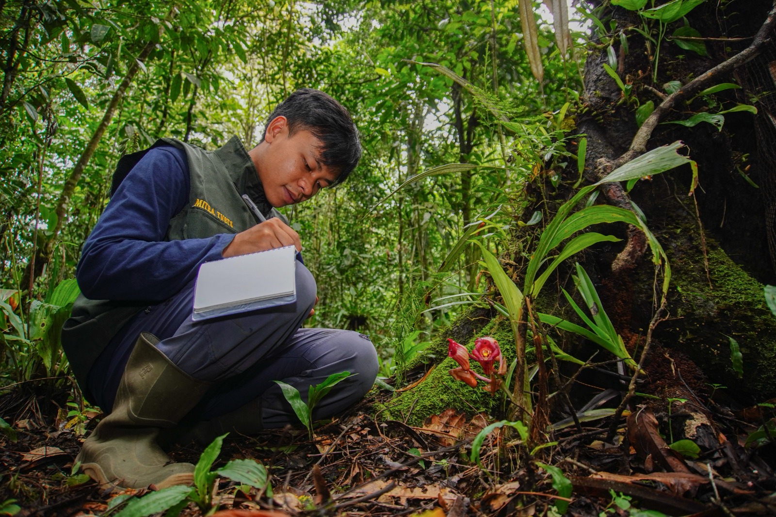 Wisata minat khusus Ranu Darungan di kawasan TNBTS