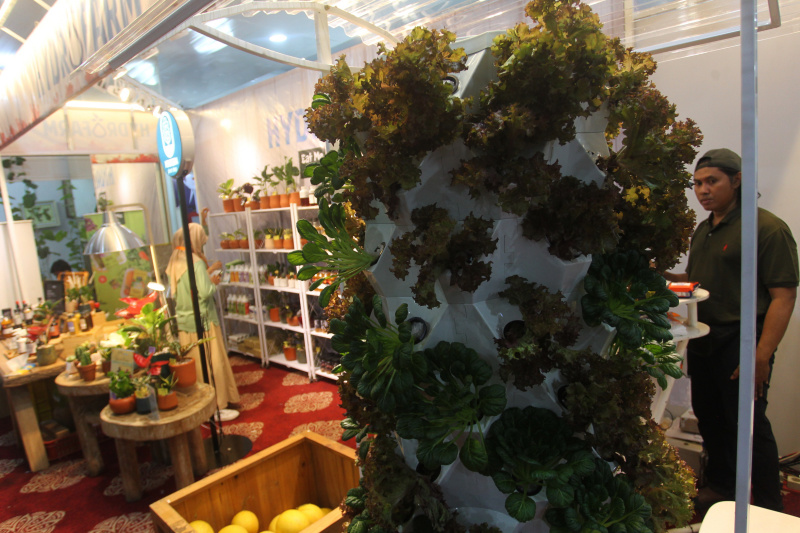 Berbagai Tanaman dipamerkan dalam Festival Urban Farming 2025