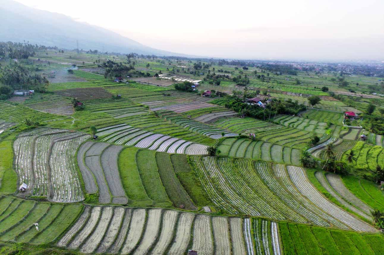Pengelolaan Lahan Tidur untuk Mendukung Program Ketahanan Pangan di Sigi