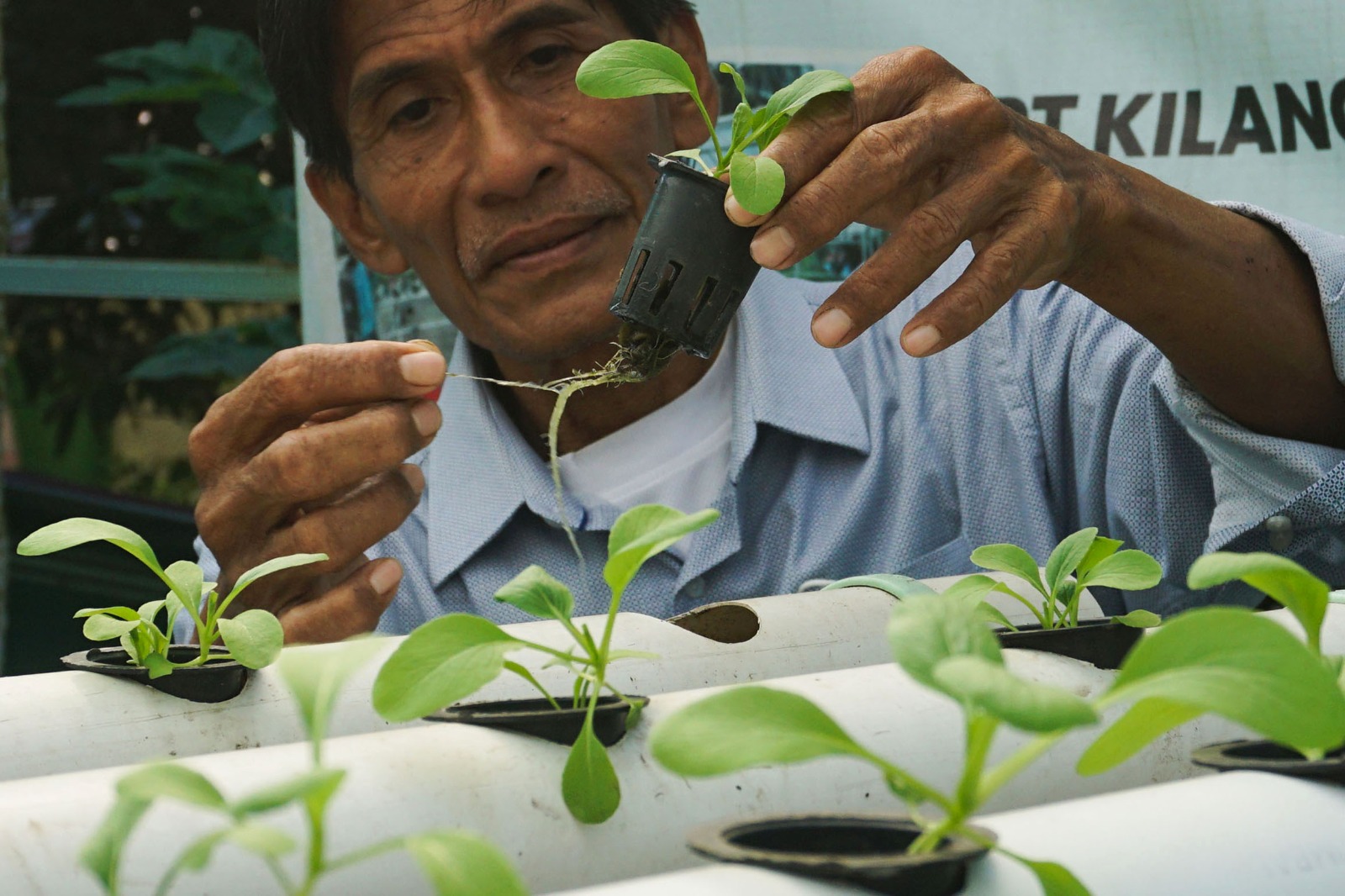Program kampung iklim di Balikpapan