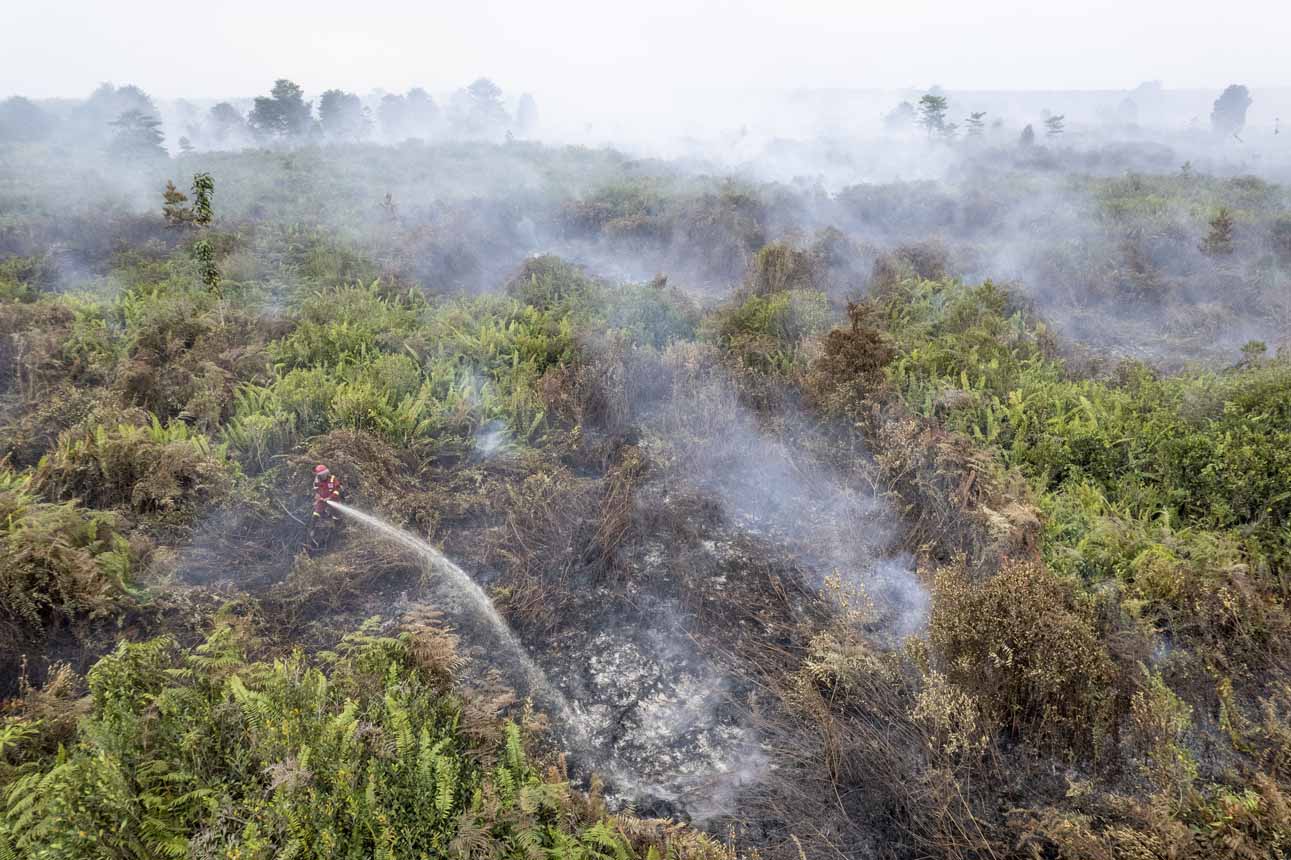 Hari Keempat Karhutla di Muaro Jambi 245 Hektare Terbakar