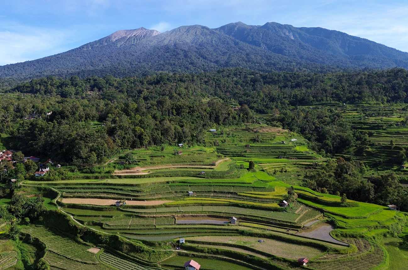 Beras Nasional Diproyeksikan Surplus September 2025