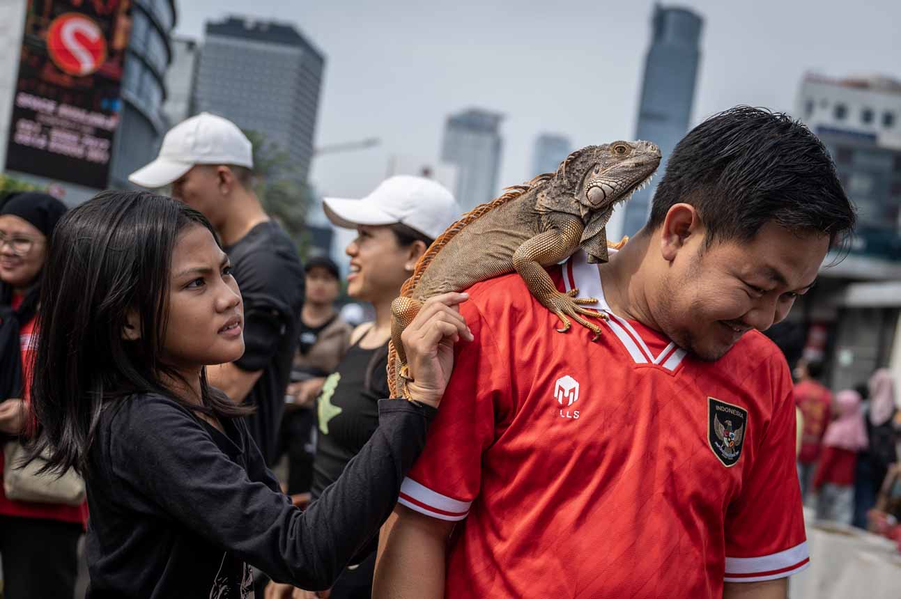 Kegiatan Edukasi Reptil di Momen Car Free Day Jakarta