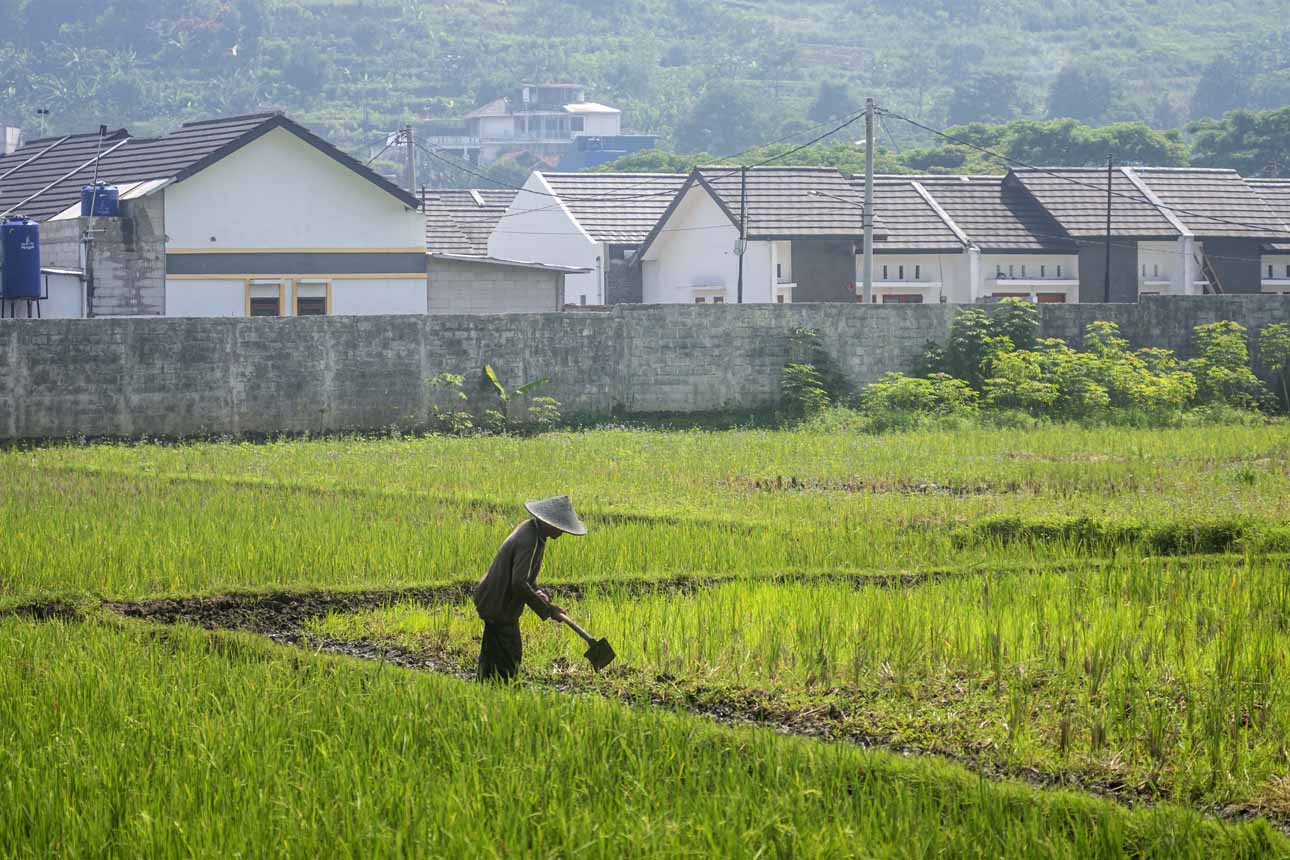 Pemerintah Terapkan Moratorium Terbatas Alih Fungsi Lahan Sawah