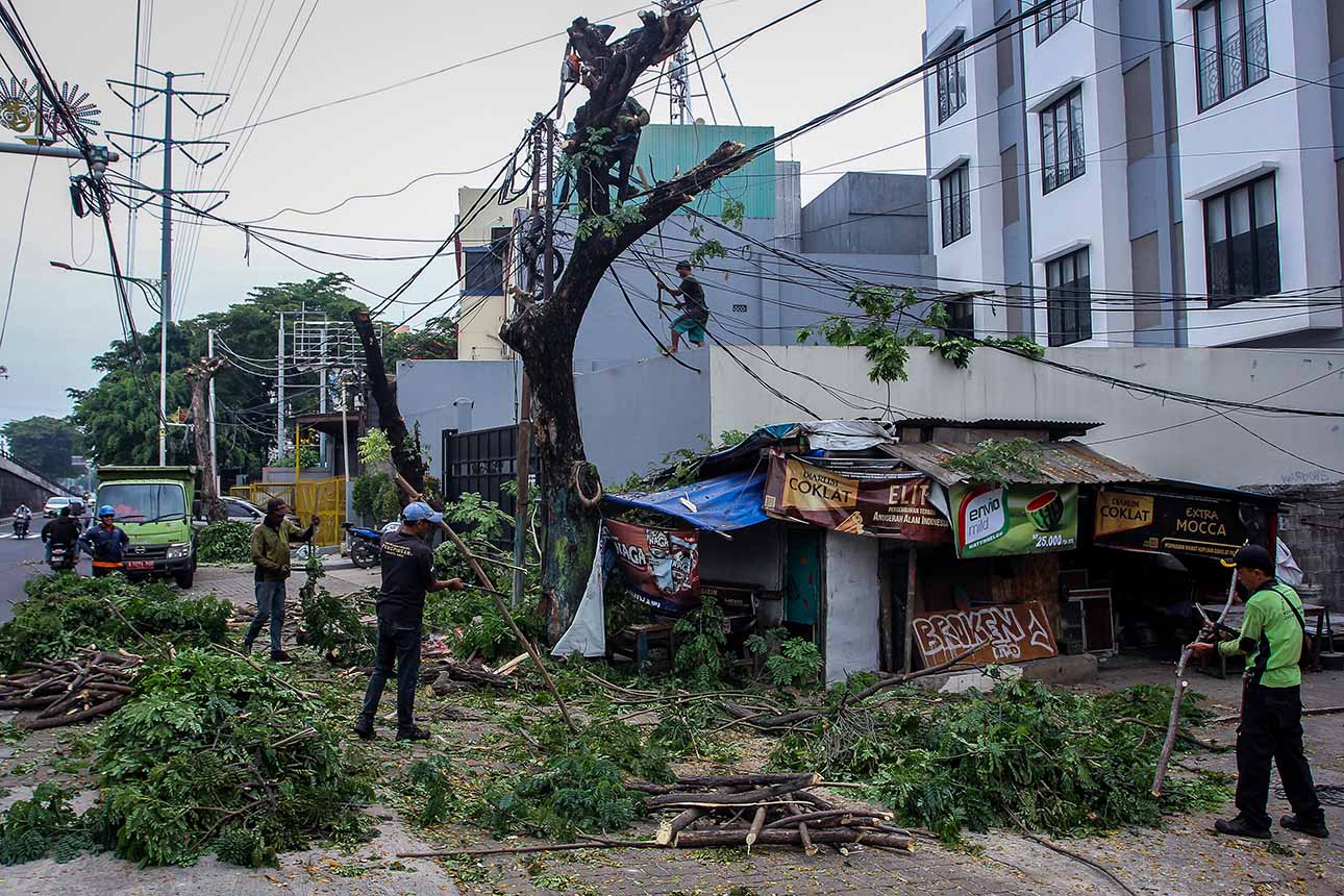 Kejadian Pohon Tumbang di Jakarta