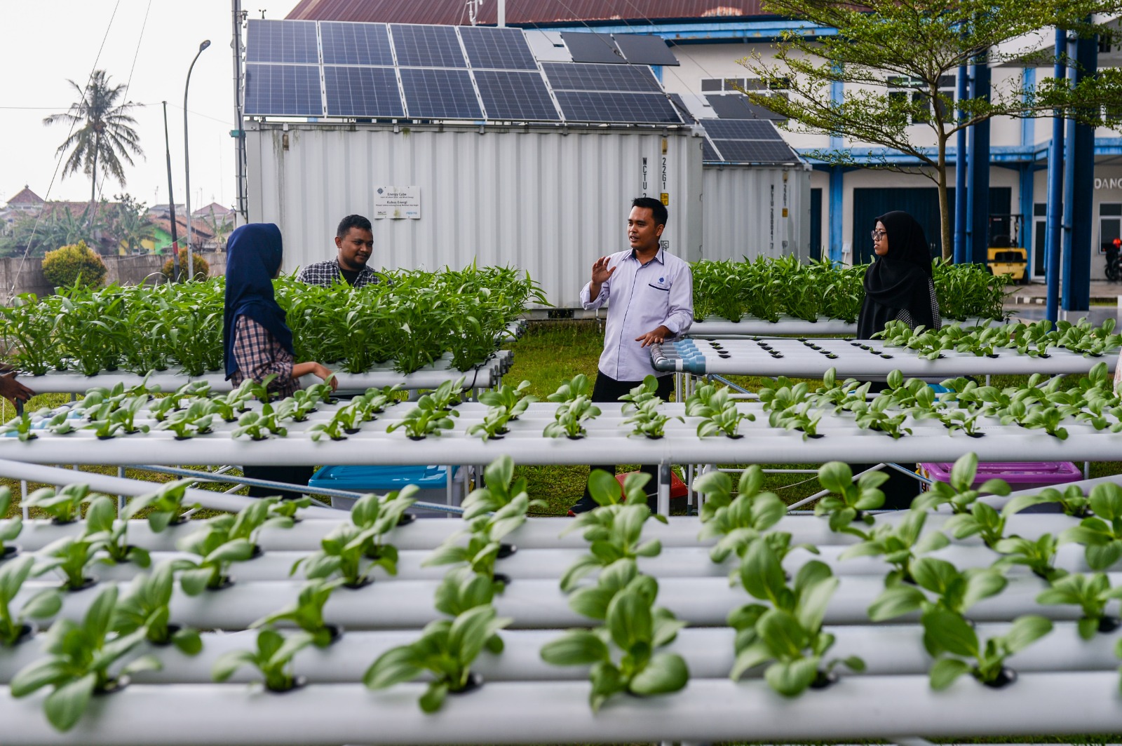 Pelatihan pertanian hidroponik modern BBPVP Serang