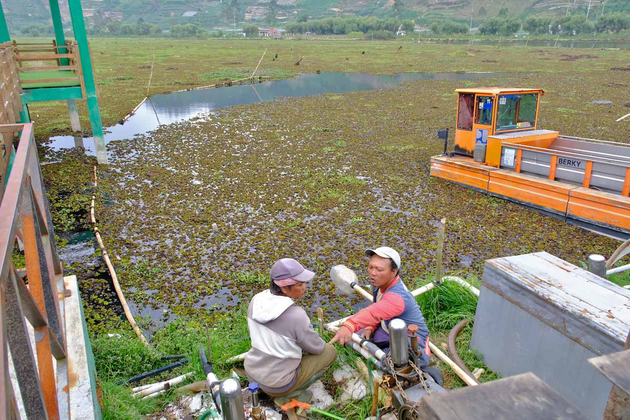 Telaga Merdada Tertutup Enceng Gondok