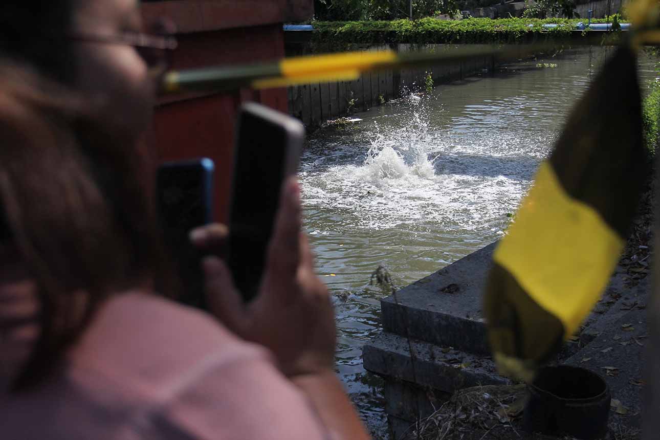 Muncul Gelembung Berbau Gas di Sungai Surabaya